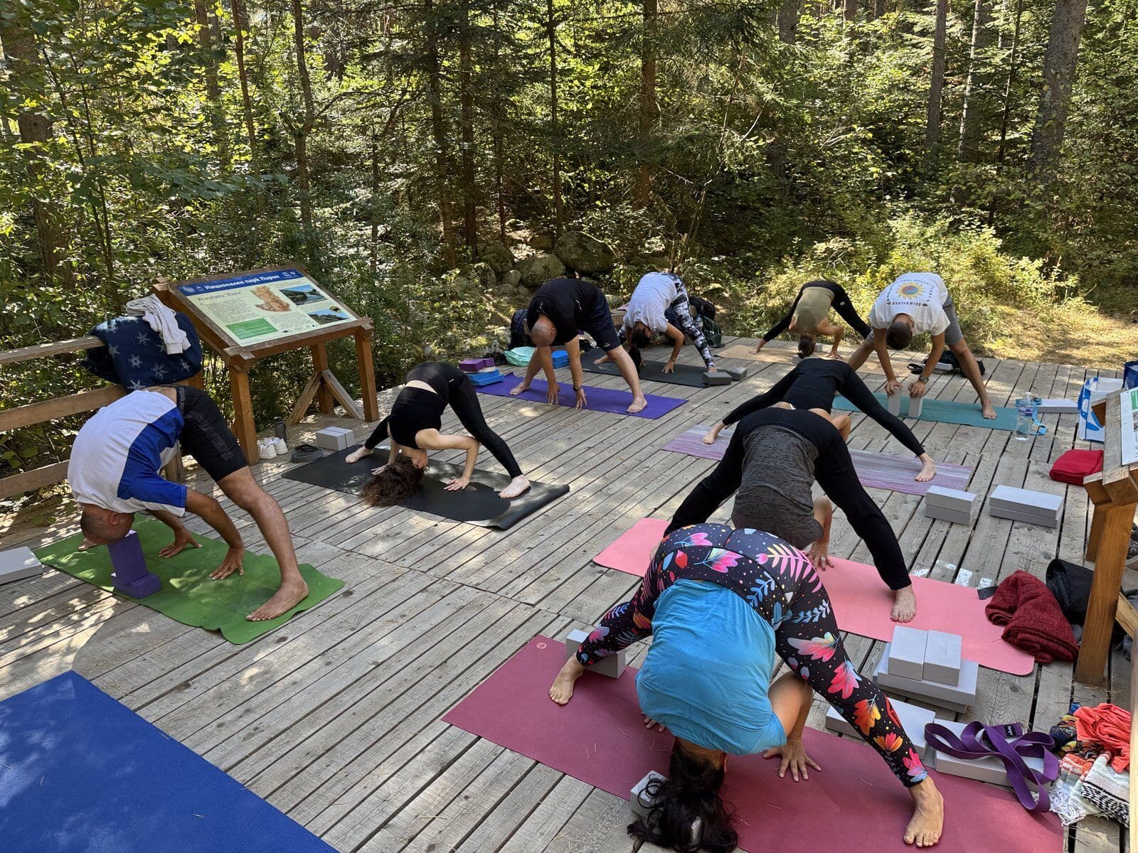 Йога практика на открито в гората